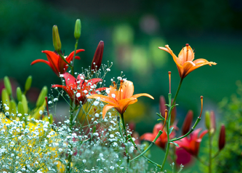 Landscape Design Services Michigan Landscape Design Services Michigan